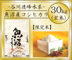魚沼産コシヒカリ３０ｋｇ（玄米）