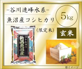 魚沼産コシヒカリ５ｋｇ（玄米）